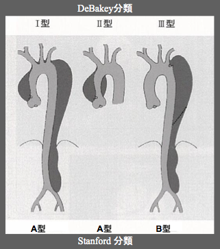 図5