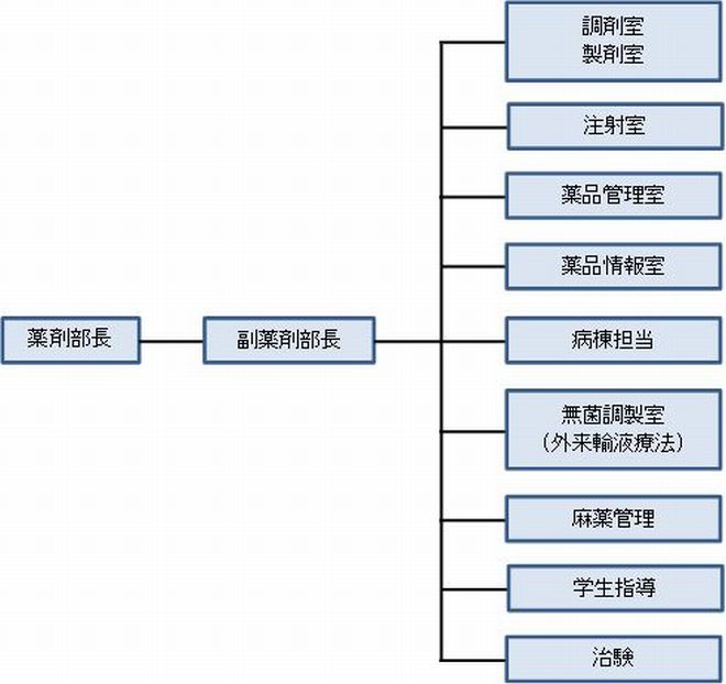 薬剤　組織