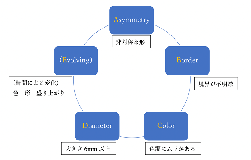 悪性黒色腫2