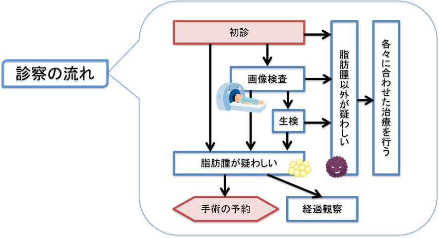 脂肪腫と「良性悪性の判断」と手術（診察の流れ）