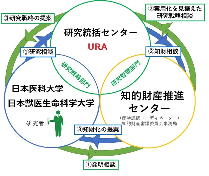 学校法人日本医科大学_知財戦略デザイナー派遣事業