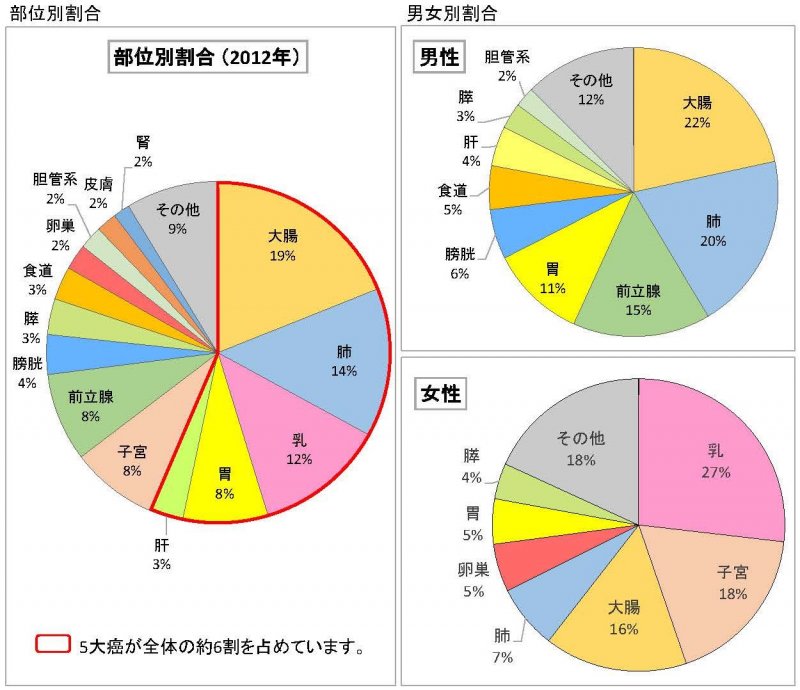 2012年院内がん登録