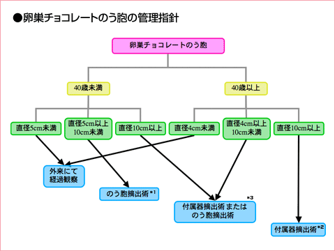 卵巣チョコレートのう胞の管理指針