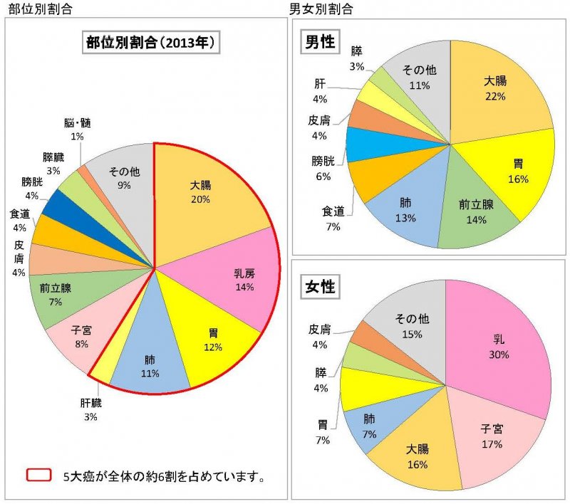 2013年院内がん登録