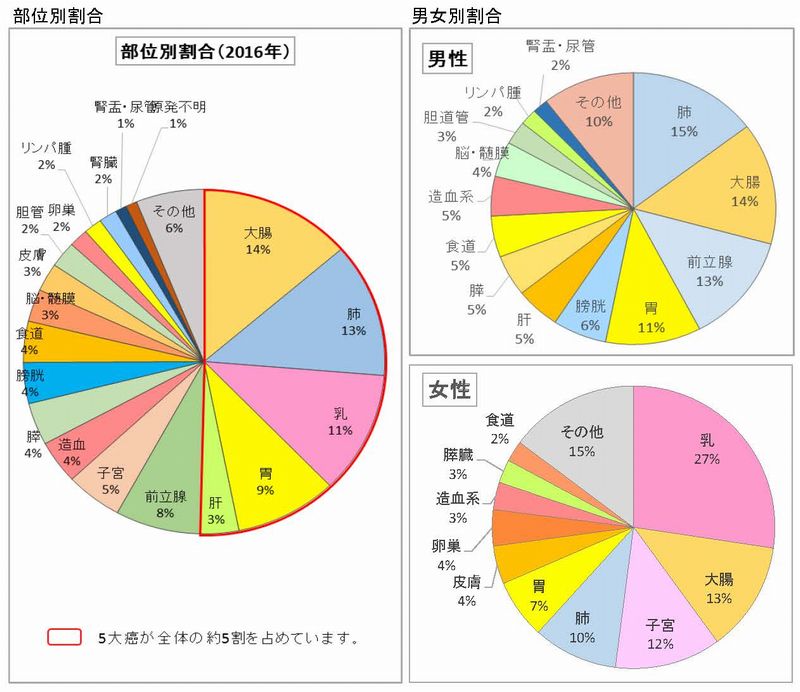 H24-28 院内がん登録統計 H28 掲載