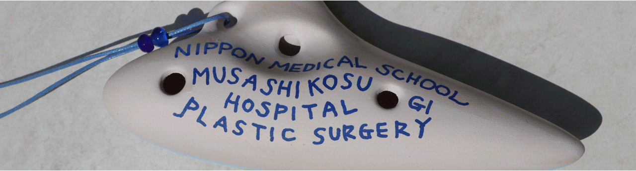 横浜と川崎から武蔵小杉駅、形成外科のオカリナ 横浜と川崎から武蔵小杉駅、形成外科のオカリナ