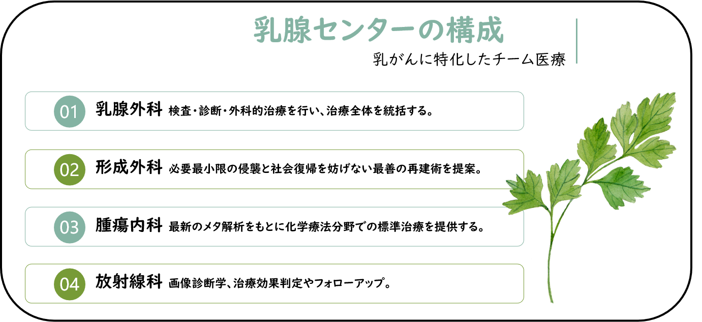 乳腺センターの全体の構成 乳腺センターの全体の構成