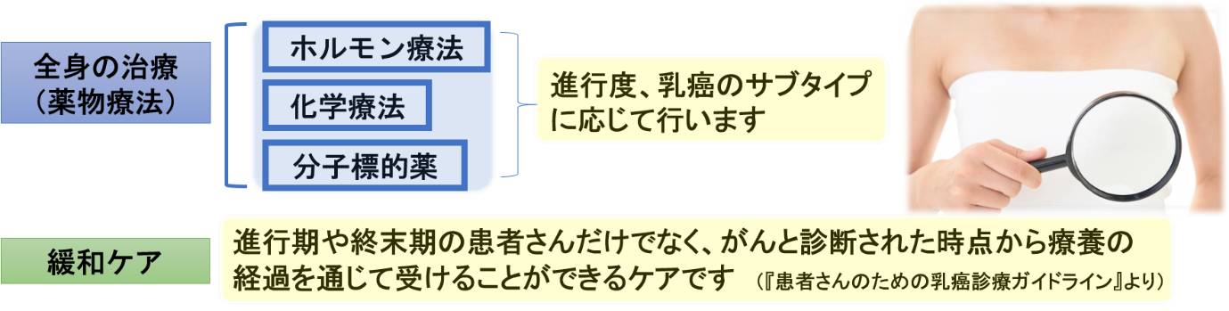 乳がんの全身治療と緩和ケア 乳がんの全身治療と緩和ケア