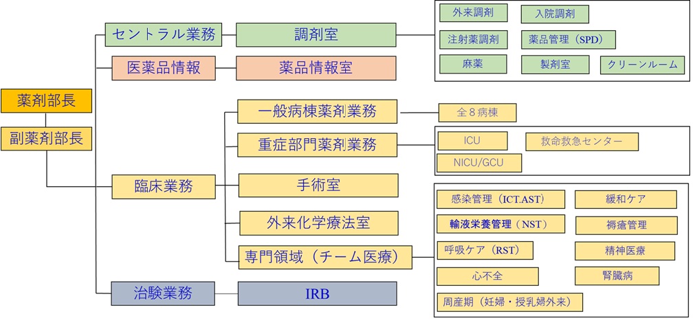 薬剤部組織図202506